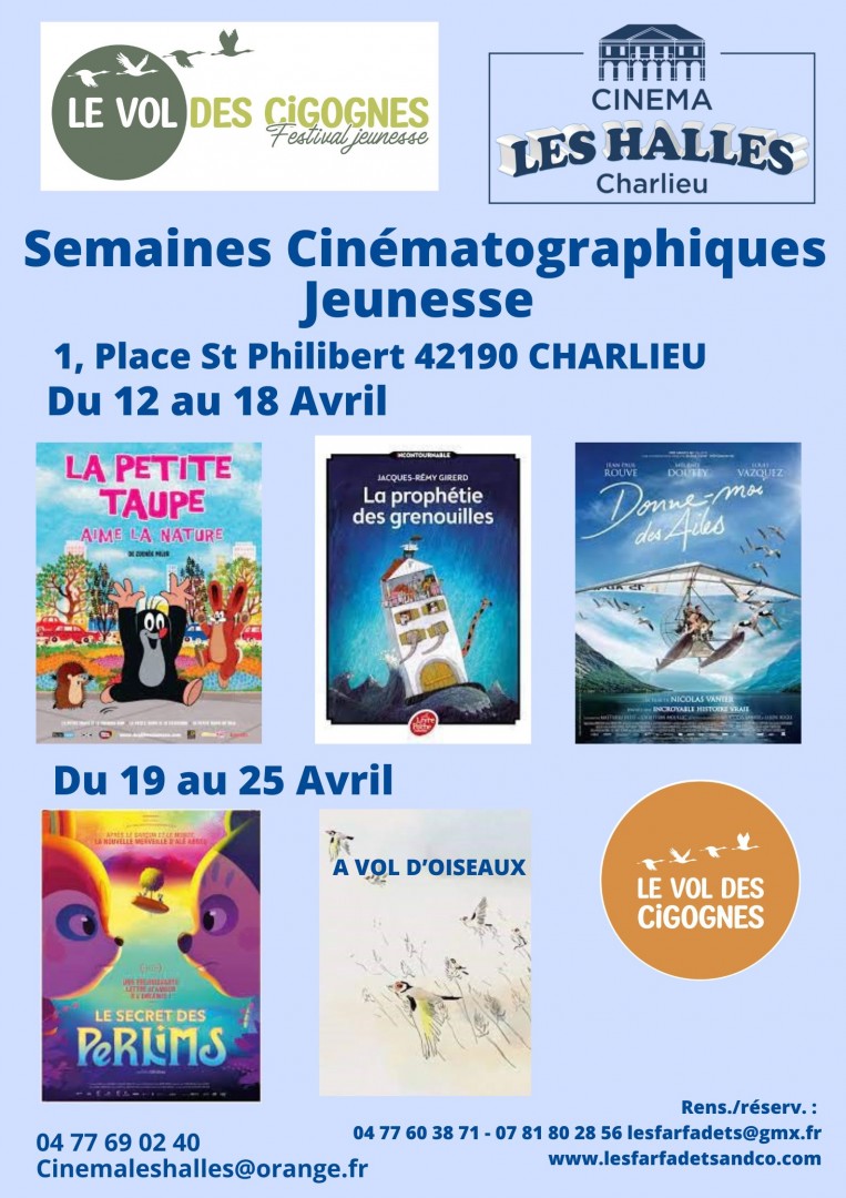 Cinema les Halles Charlieu (2)